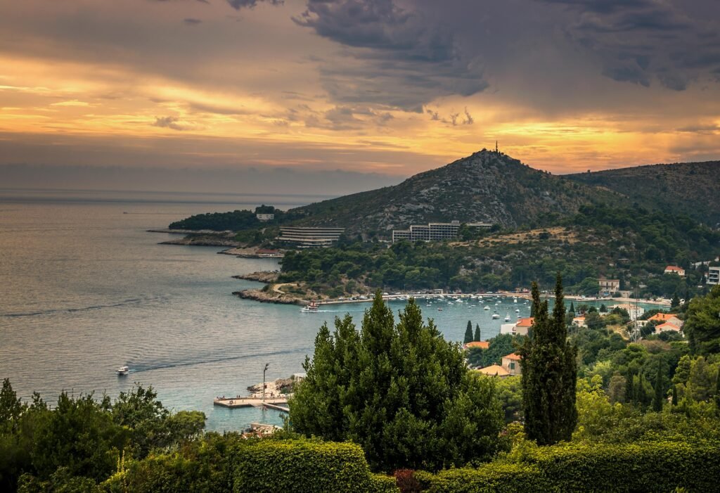 pexels-david-bartus-43782-389724